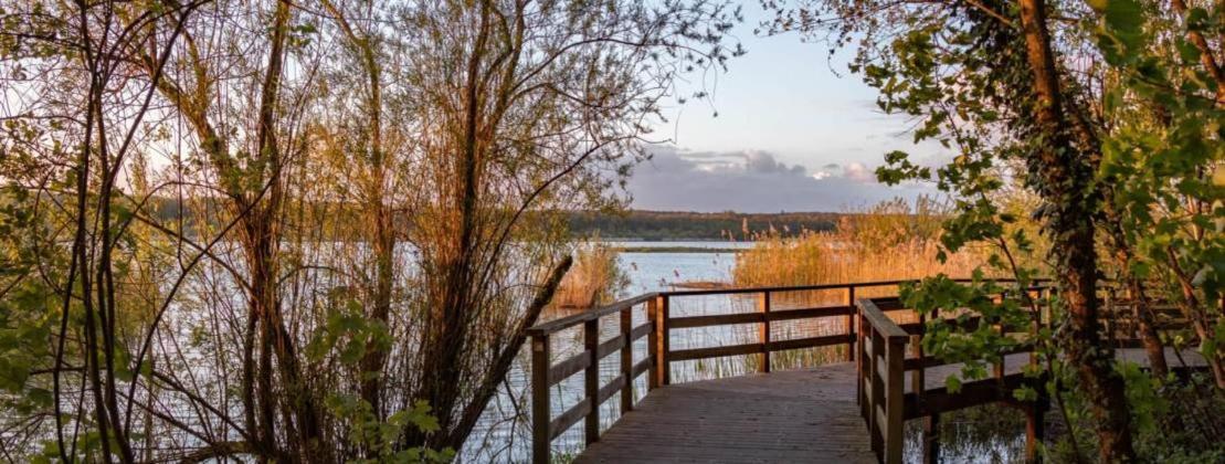 Le Temps D'Un Souffle - Gite Rural 3 Epis Sivry Kültér fotó